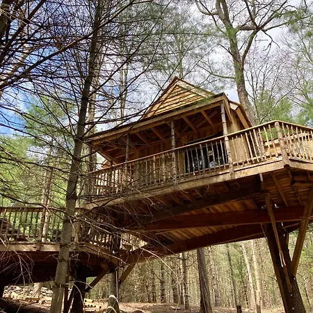 Little Birds Treehouse Villa Sparrow Bush Exterior photo