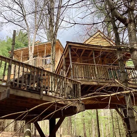 Little Birds Treehouse Villa Sparrow Bush Exterior photo
