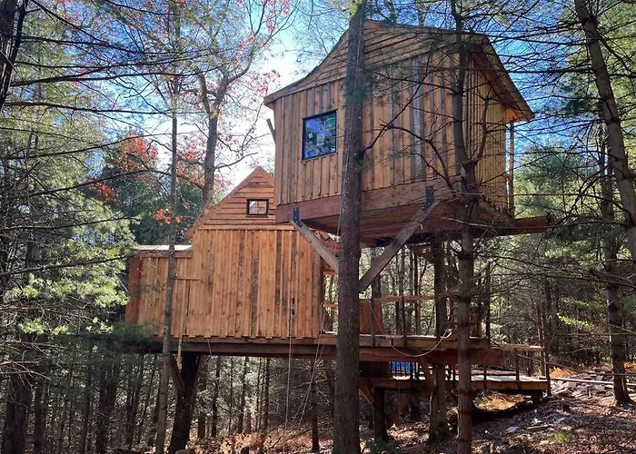 Little Birds Treehouse