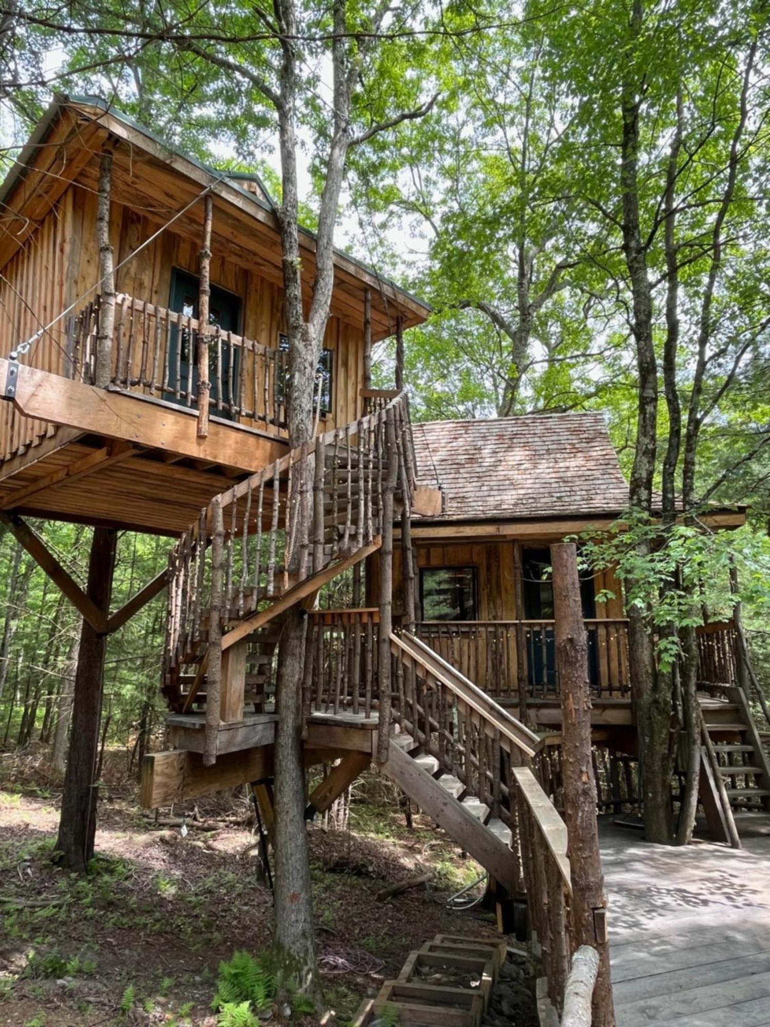 Little Birds Treehouse Sparrow Bush